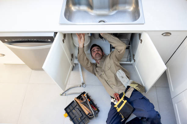 Best Local Plumber Services  in Belle Isle, FL